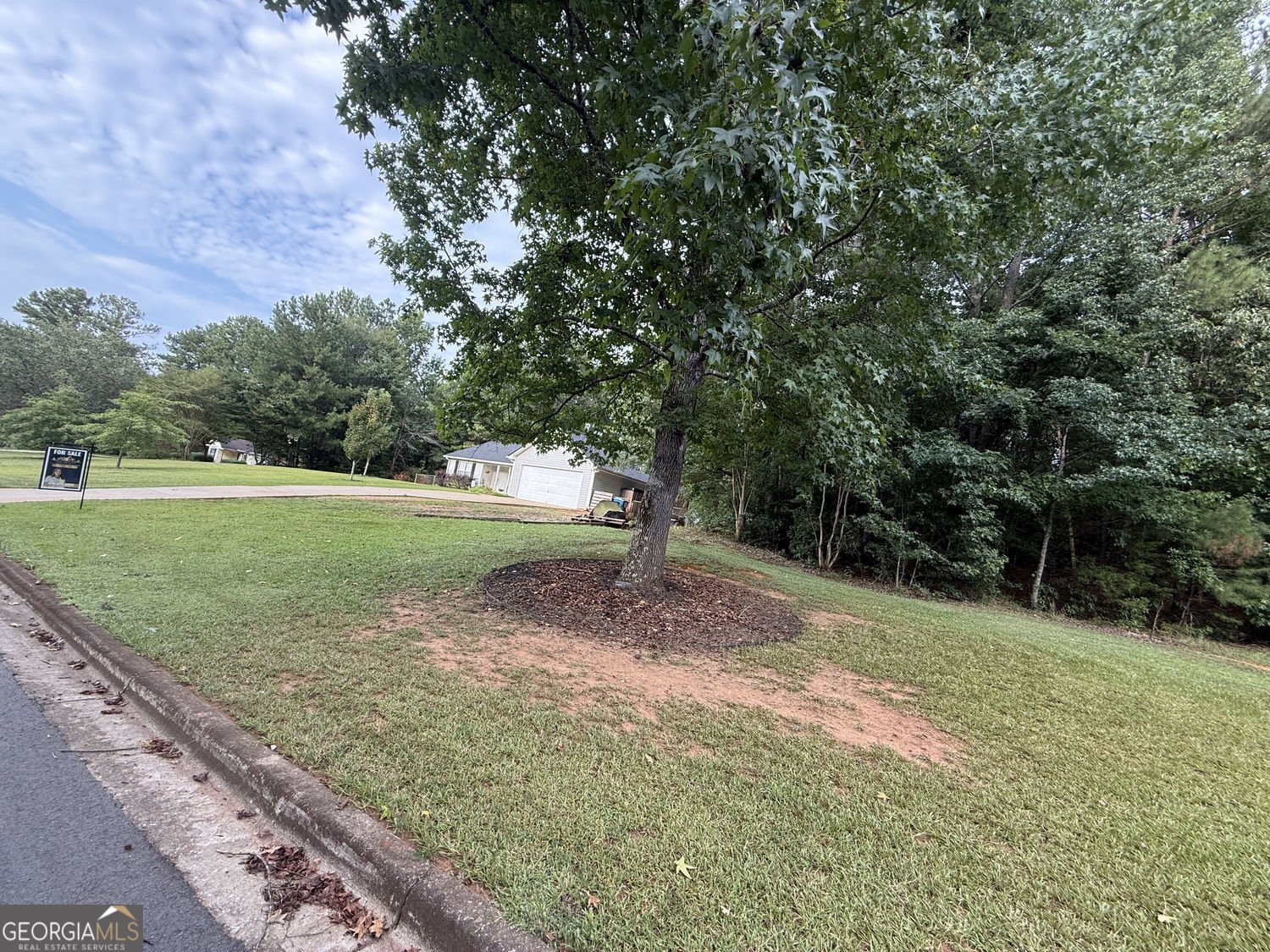 113 Honey Lane McDonough - Photo 40
