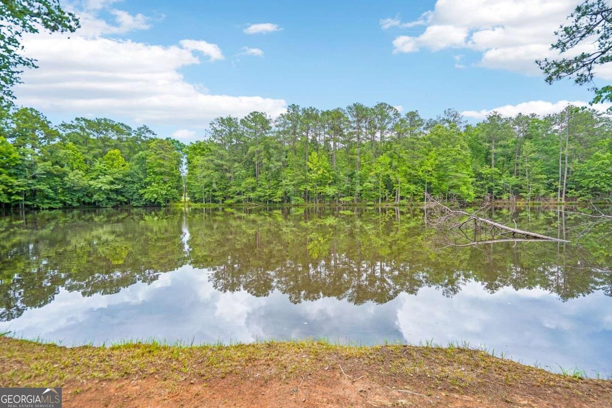 2128 Turner Church Road Mcdonough - Photo 34