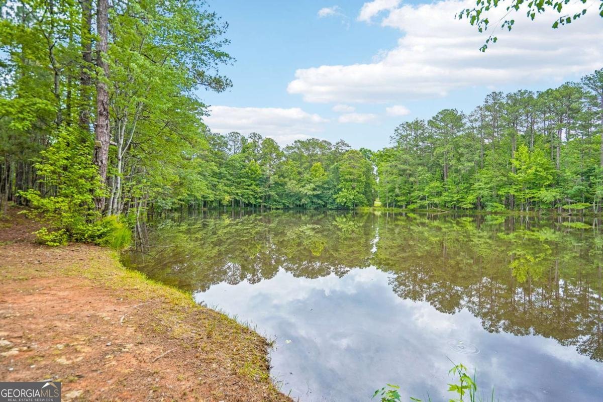 2128 Turner Church Road Mcdonough - Photo 35