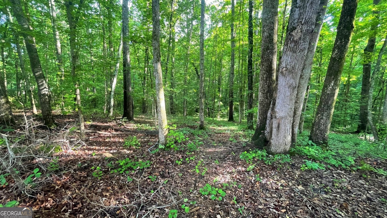656 Belmont Road Villa Rica - Photo 13