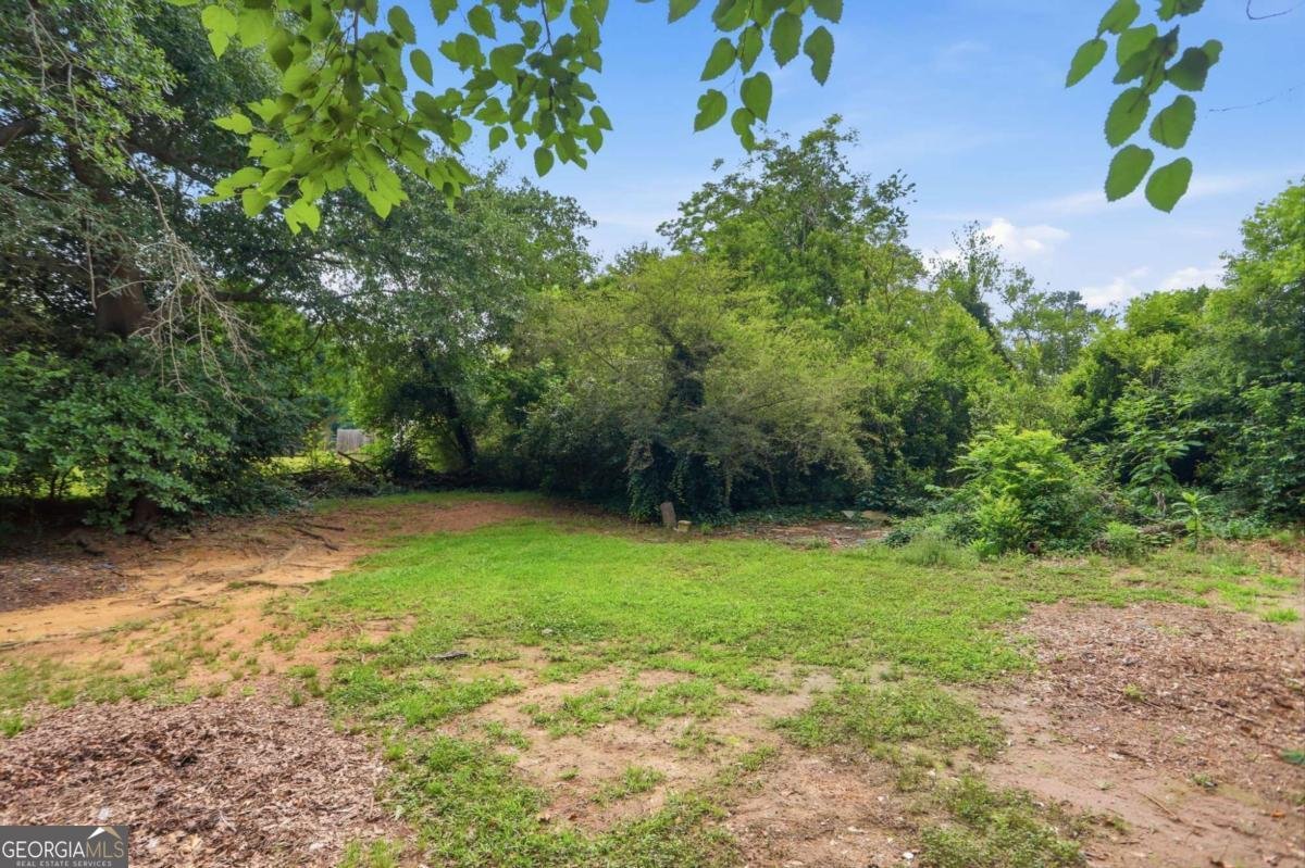 119 Short Street Griffin - Photo 10