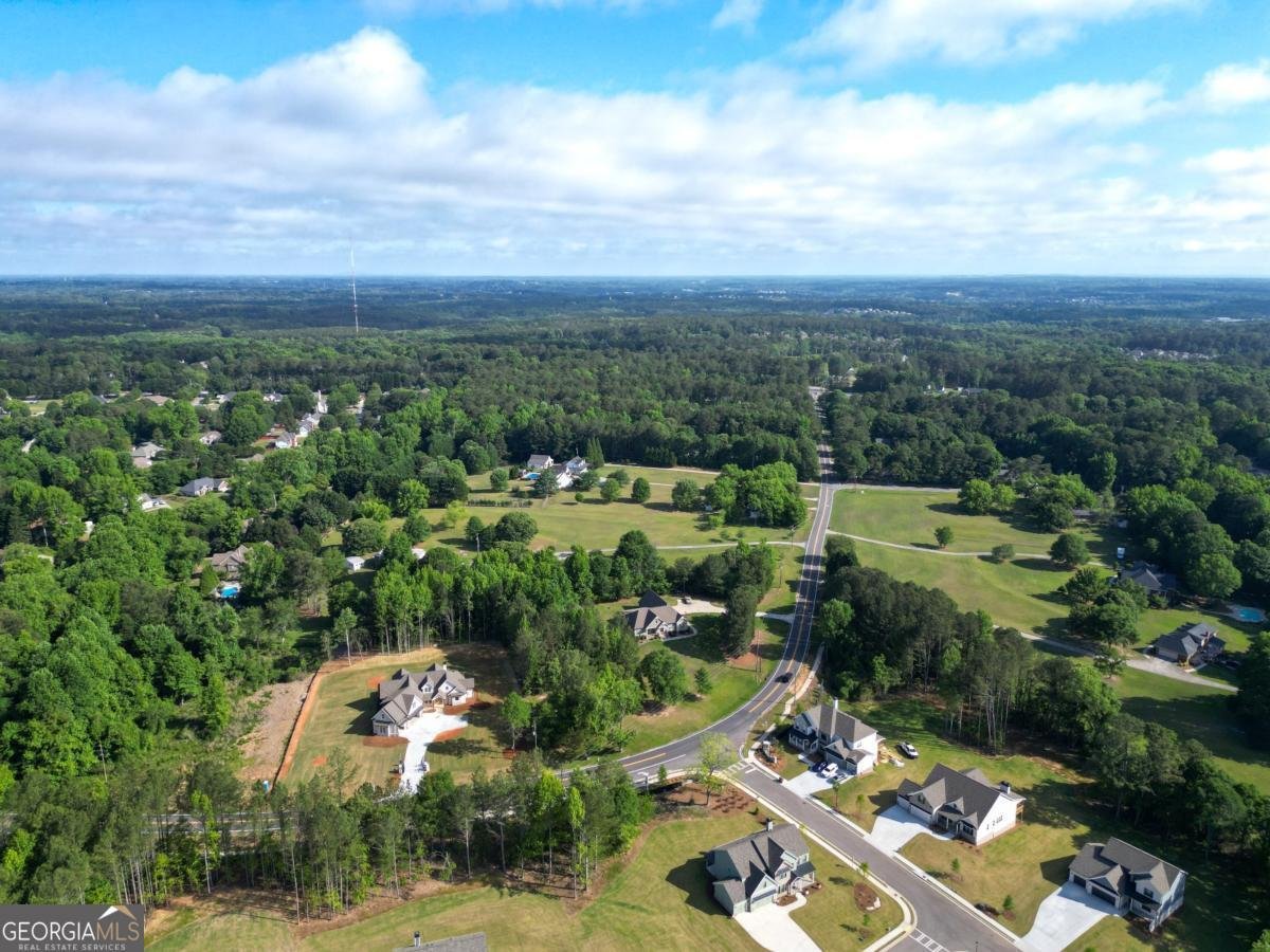 2889 Briscoe Road Loganville - Photo 6