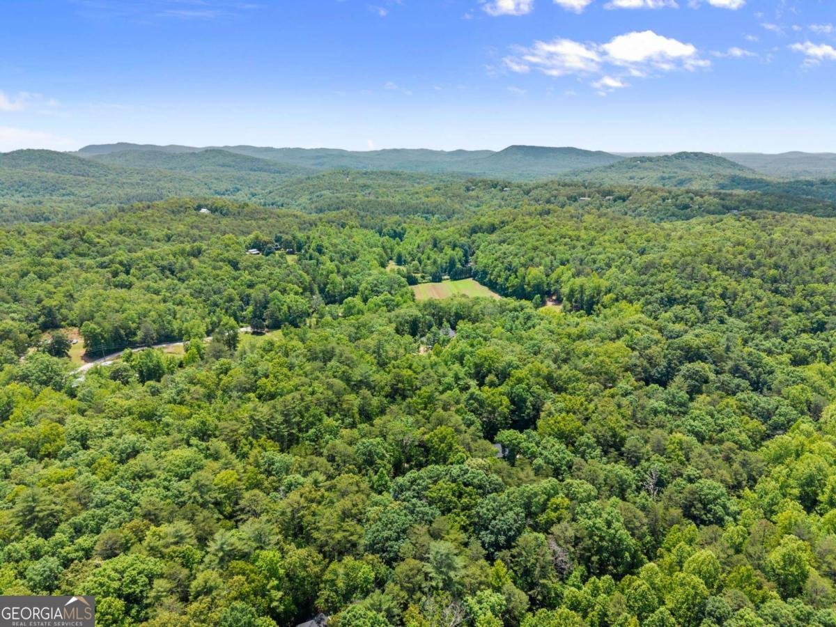 116 Marion Lane Sautee Nacoochee - Photo 26