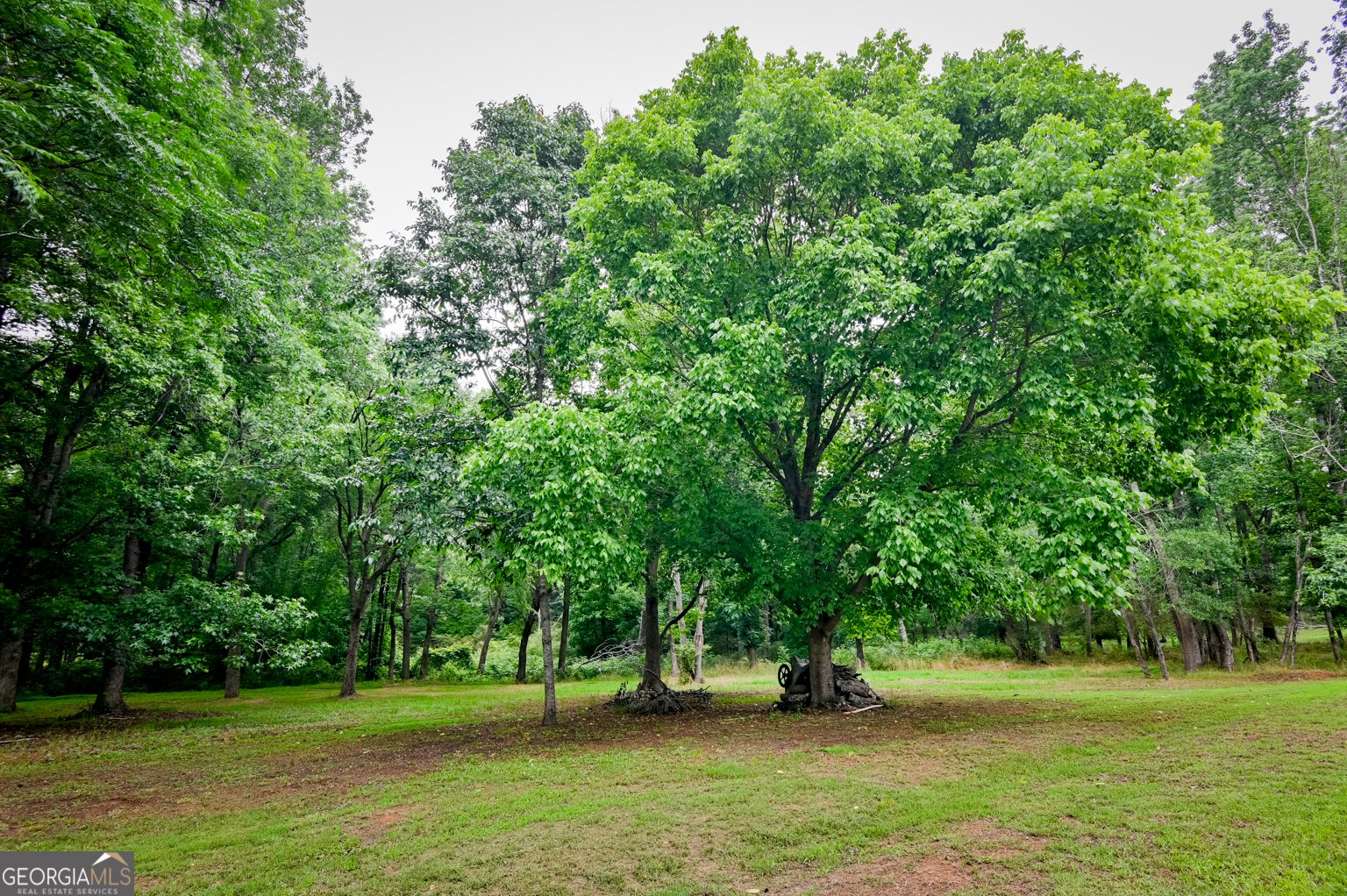 135 Terrell Lane Covington - Photo 56