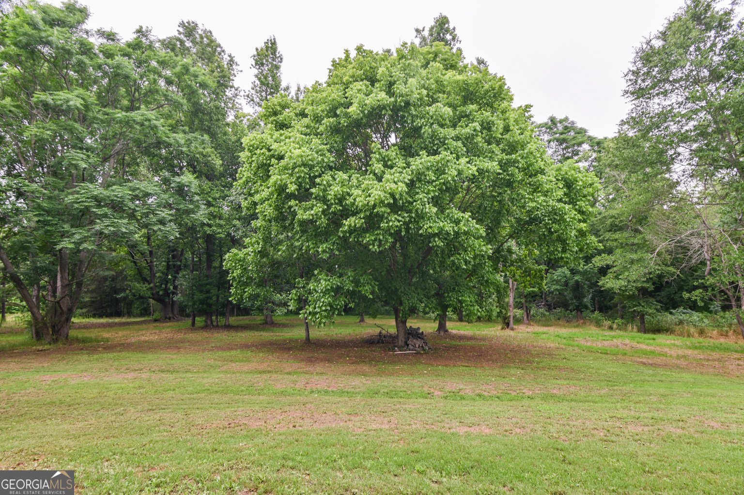 135 Terrell Lane Covington - Photo 57