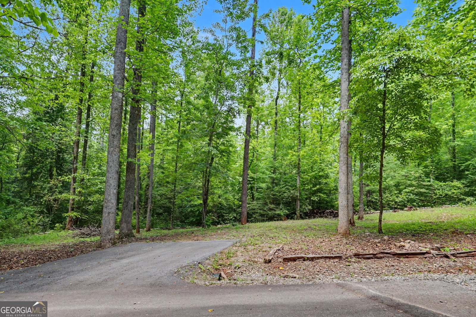 220A Brookwood Lane Clarkesville - Photo 45