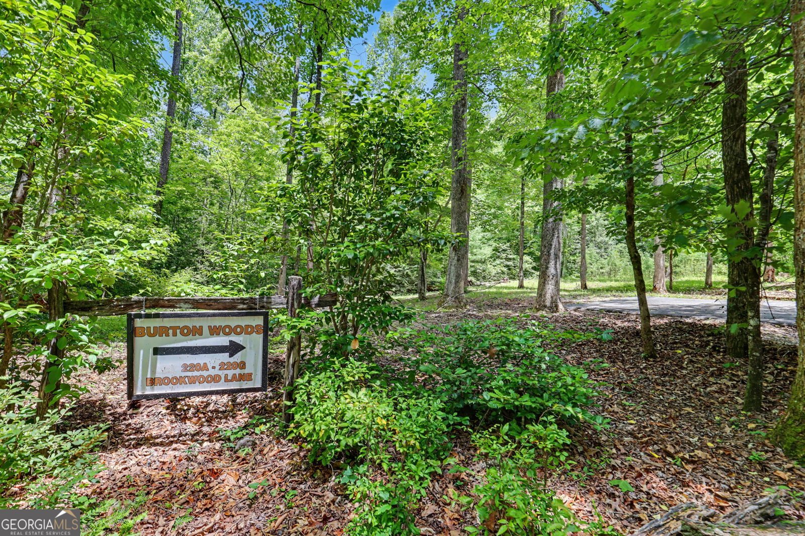 220A Brookwood Lane Clarkesville - Photo 47