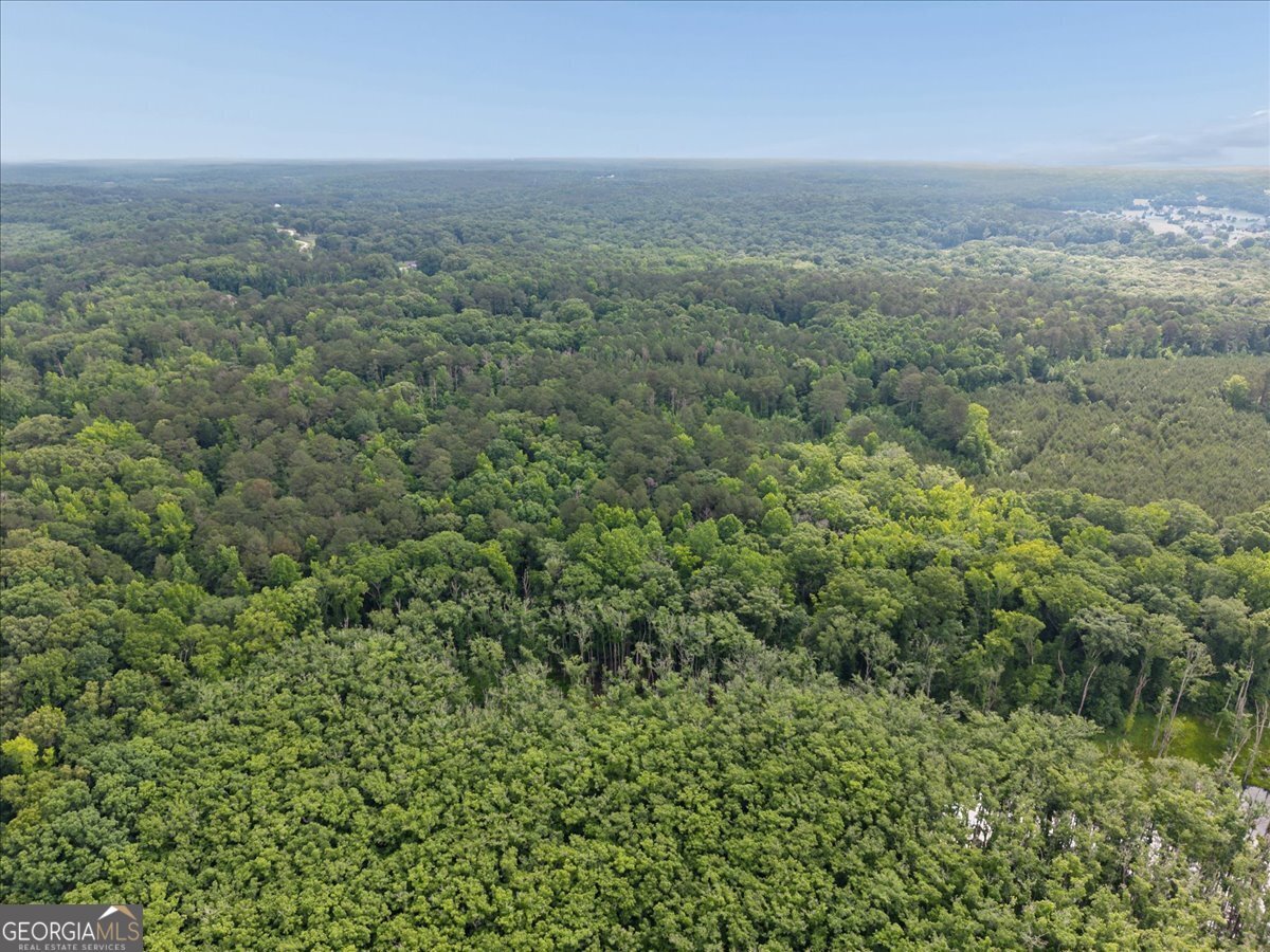 971 Cochran Road Covington - Photo 39