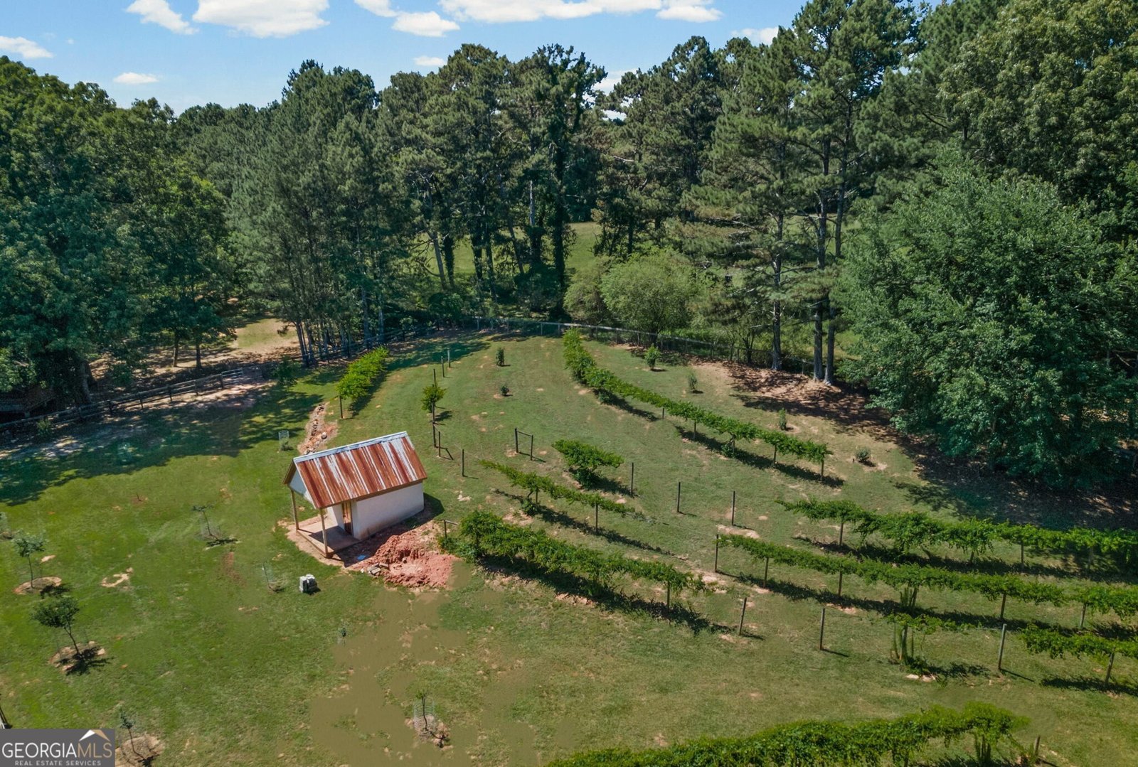 253 Charles Road Canton - Photo 78