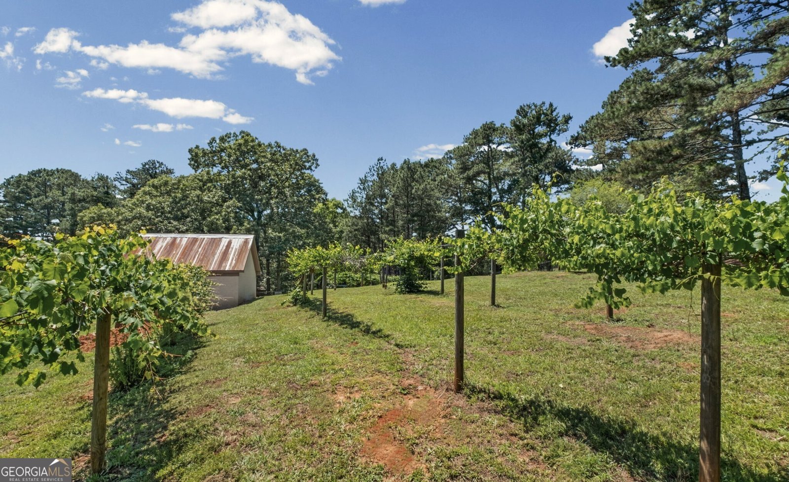 253 Charles Road Canton - Photo 80