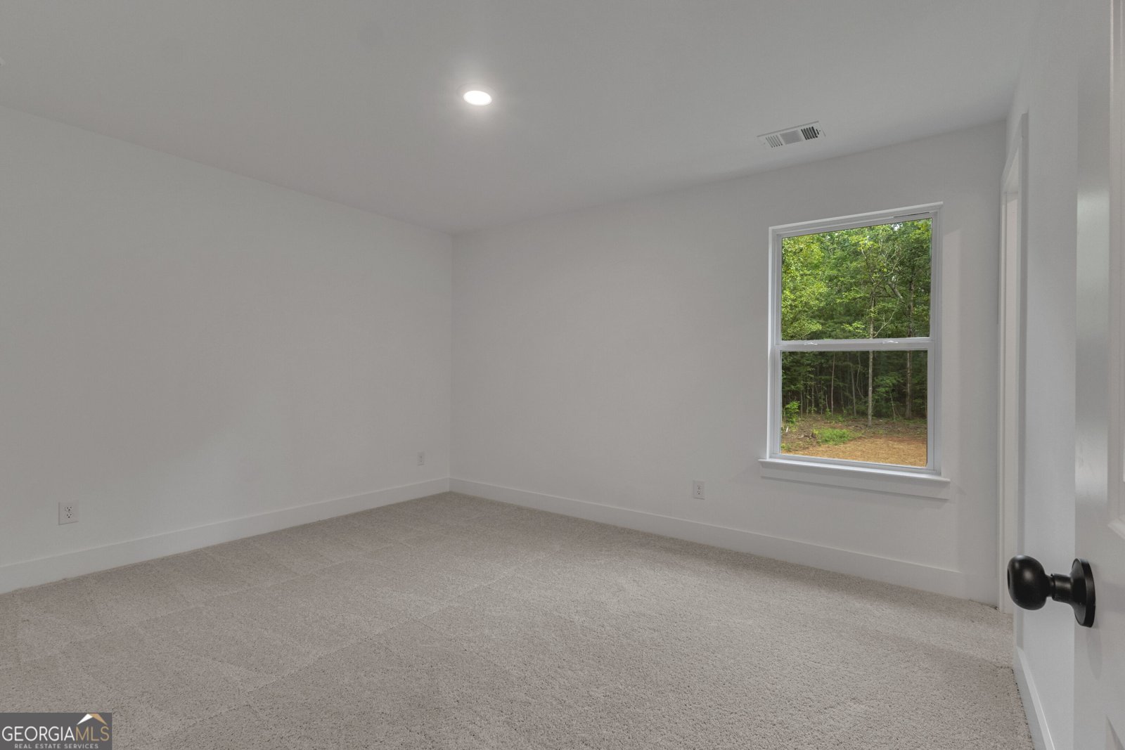 401 Hunter Welch Parkway Luthersville - Photo 33