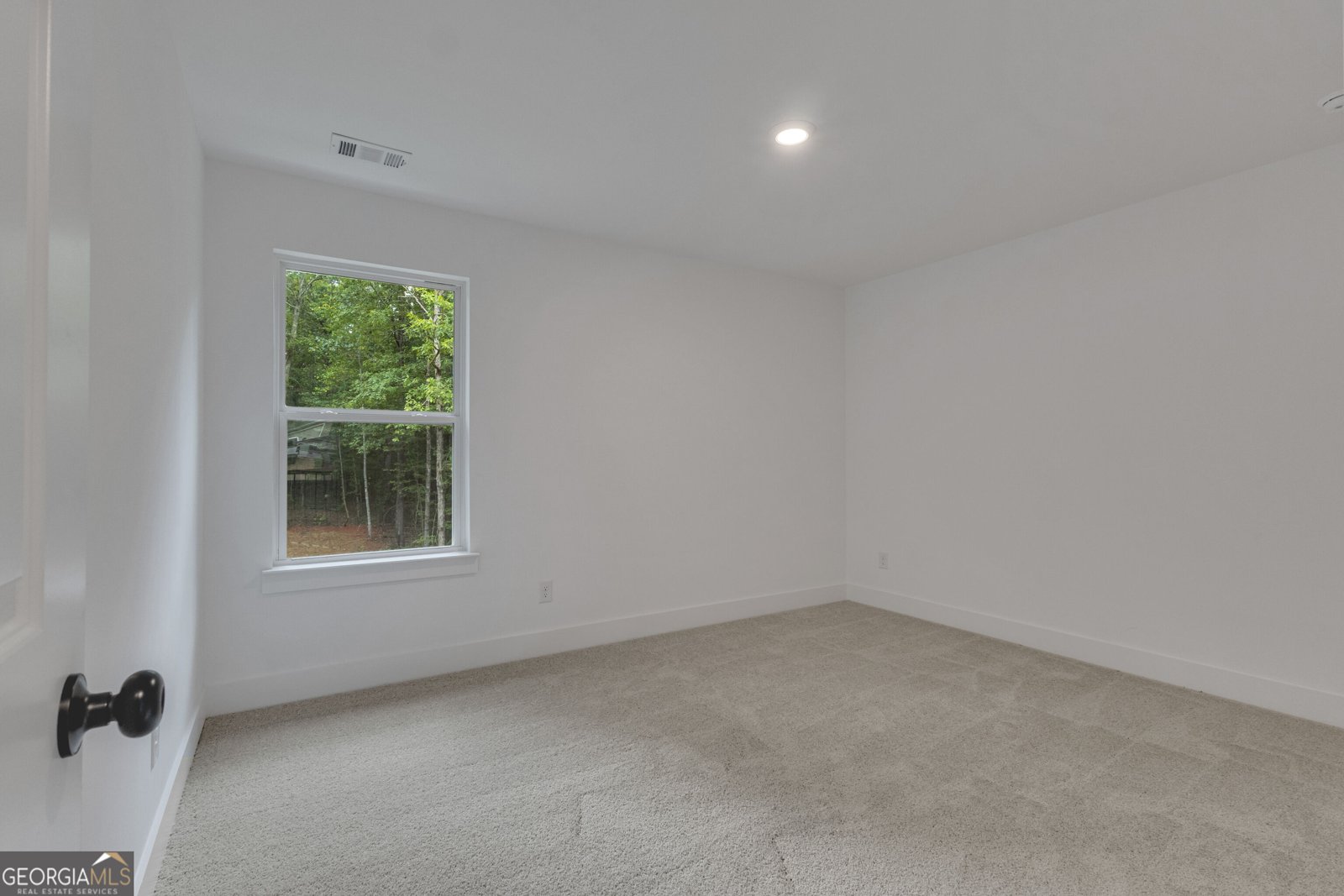 401 Hunter Welch Parkway Luthersville - Photo 36
