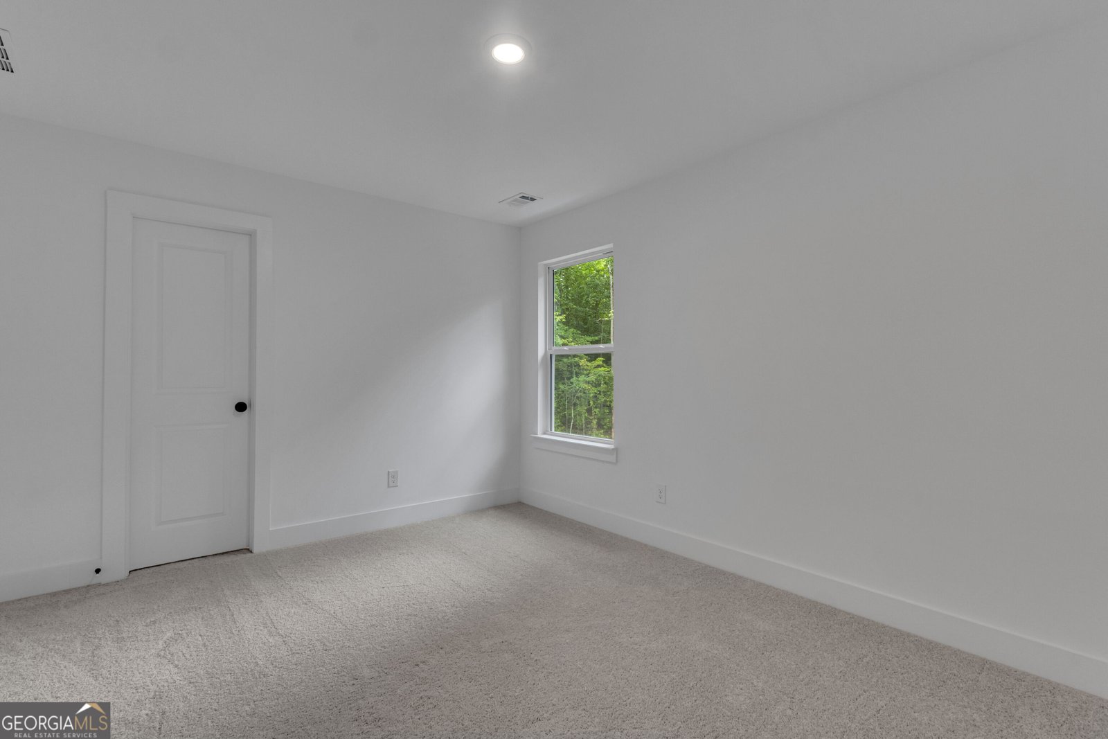 401 Hunter Welch Parkway Luthersville - Photo 37