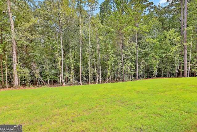 2460 N HWY 29 Newnan - Photo 47
