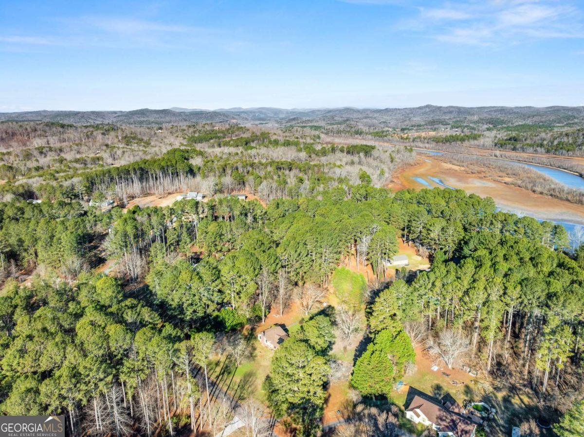 588 Estatohe Circle Toccoa - Photo 48