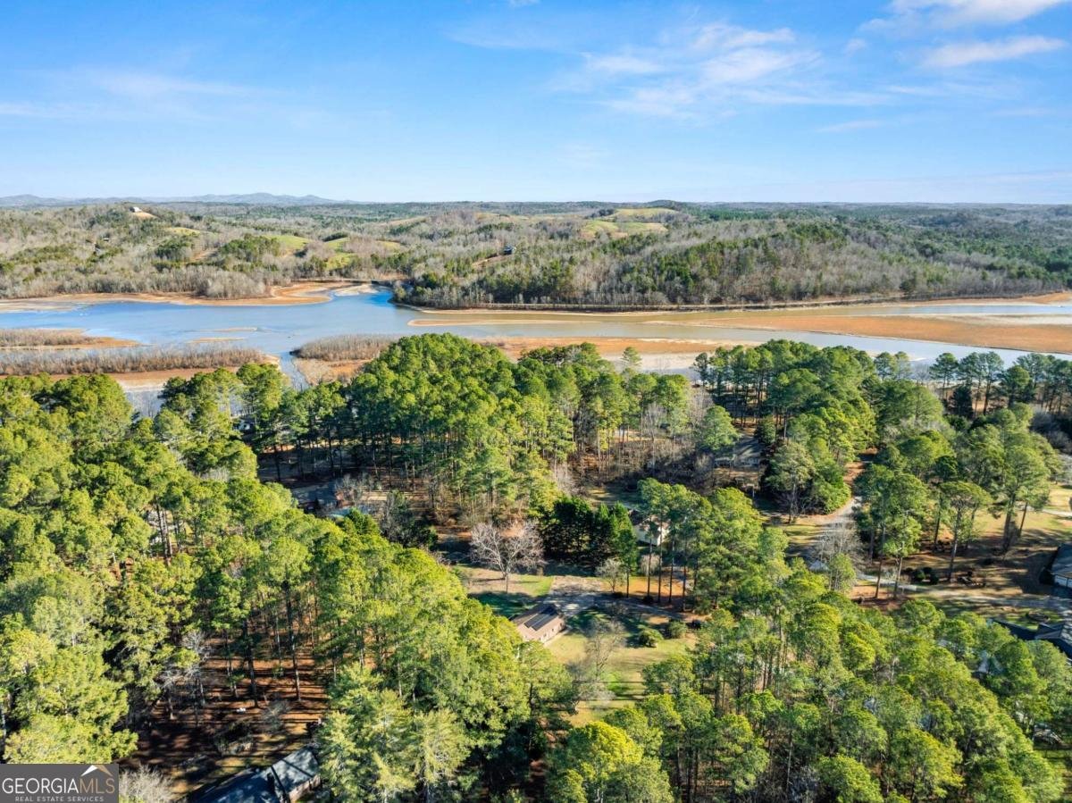 588 Estatohe Circle Toccoa - Photo 49