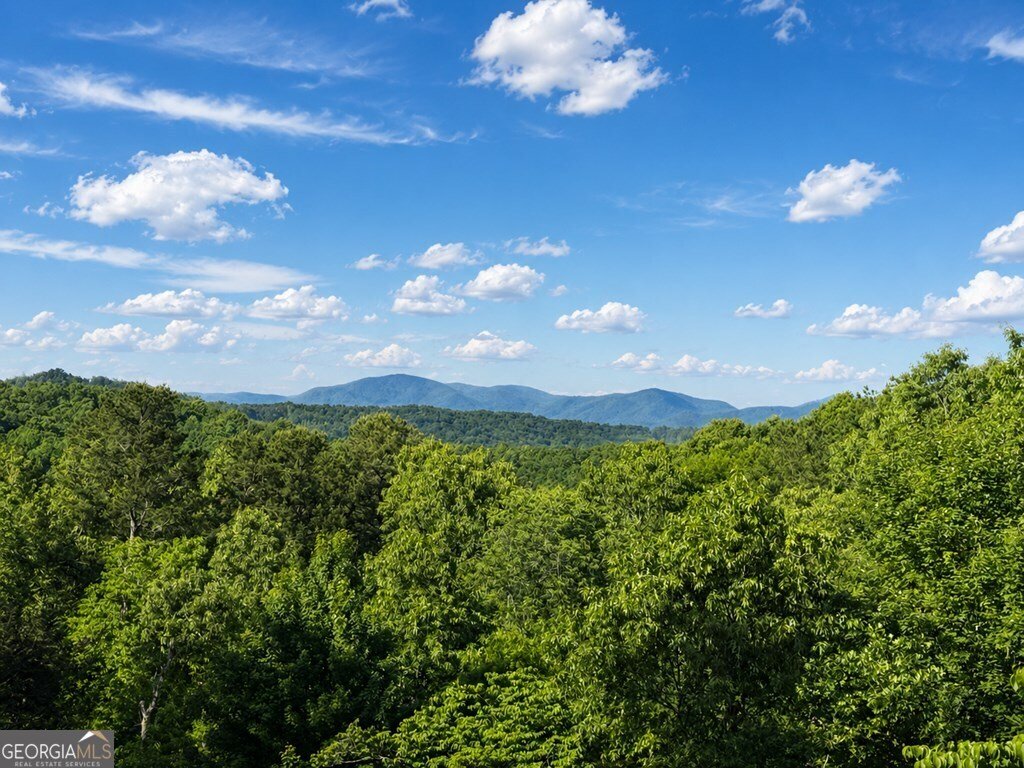 128 Ridge Brook Drive Morganton - Photo 64