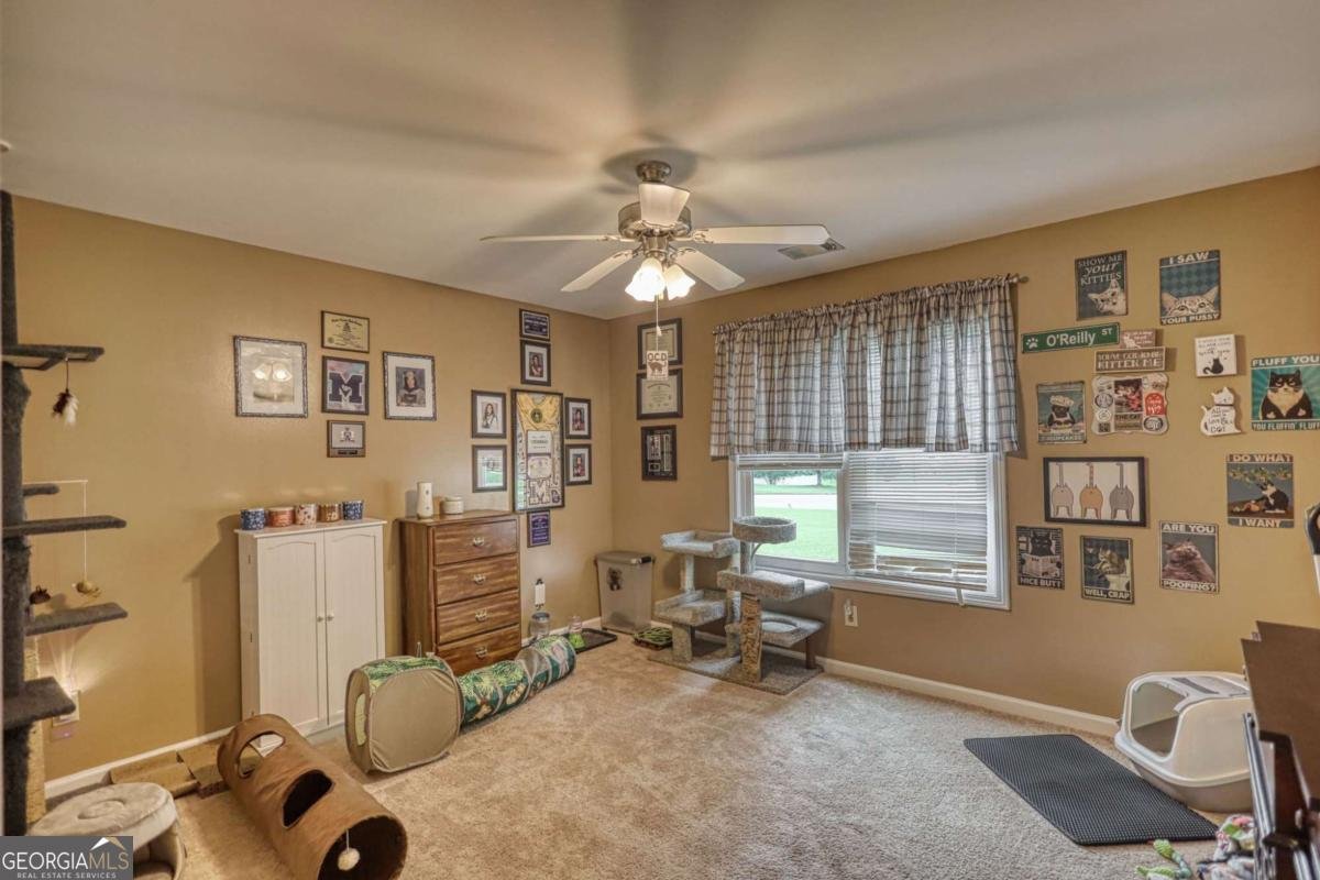 4207 Old Wood Drive Conyers - Photo 46