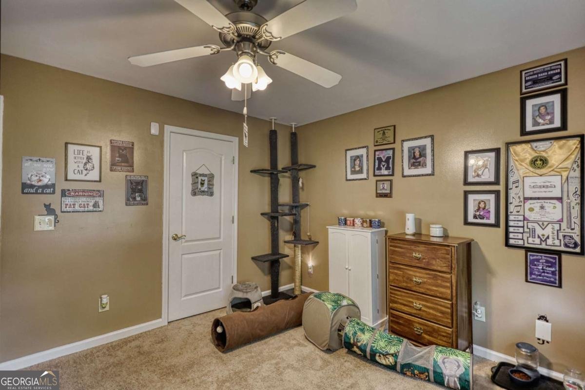 4207 Old Wood Drive Conyers - Photo 47