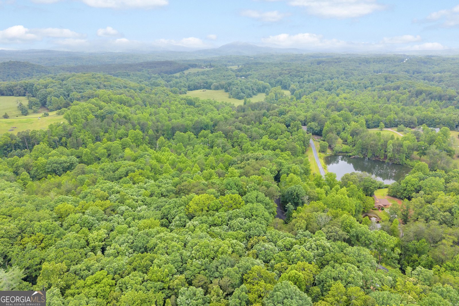 314 Skyview Circle Clarkesville - Photo 41