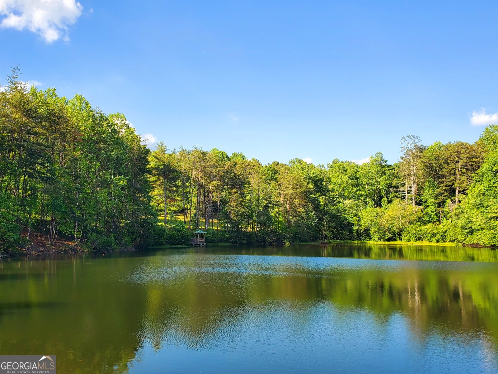 314 Skyview Circle Clarkesville - Photo 44