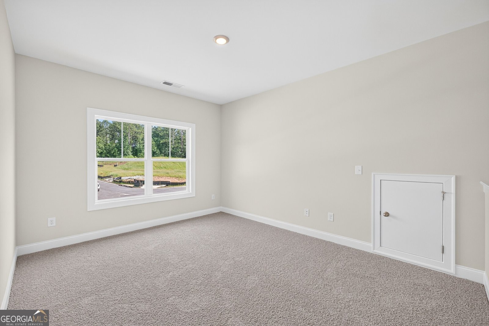 113 Southview Drive Ellenwood - Photo 33