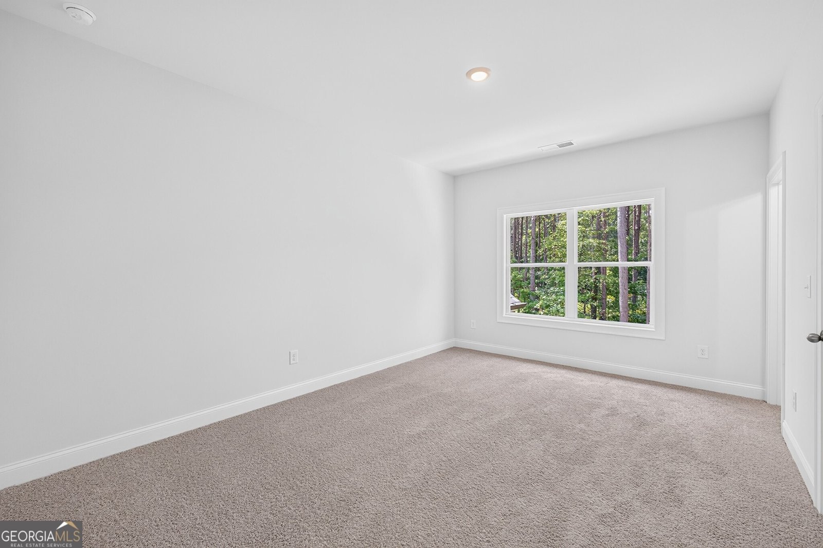 113 Southview Drive Ellenwood - Photo 36