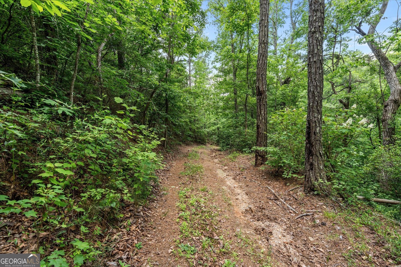 1456 County Road 854 Wadley - Photo 44