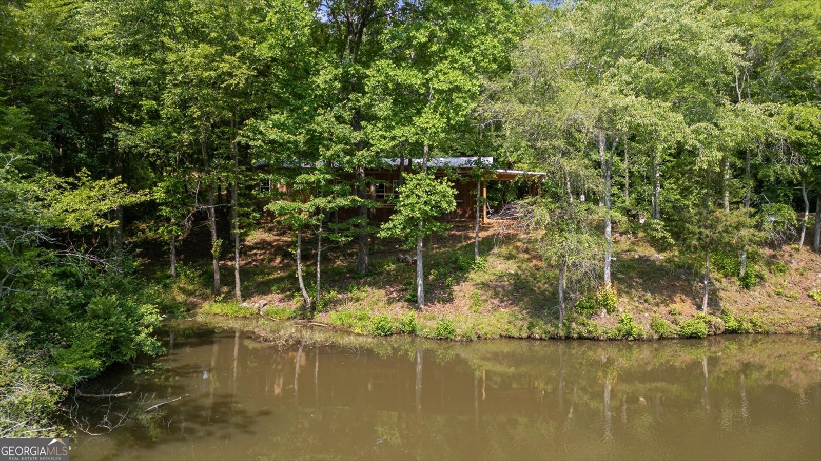1461 County Road 499 Woodland - Photo 30