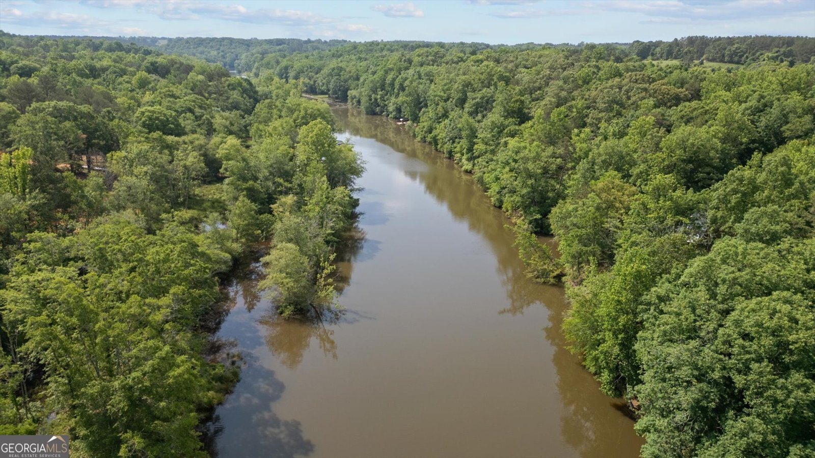 1461 County Road 499 Woodland - Photo 36