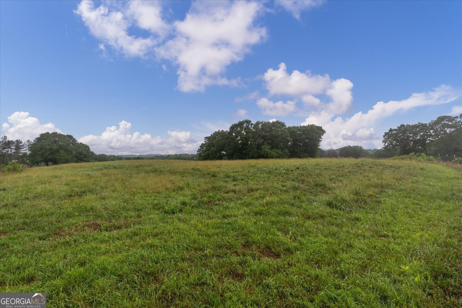 1461 County Road 499 Woodland - Photo 39