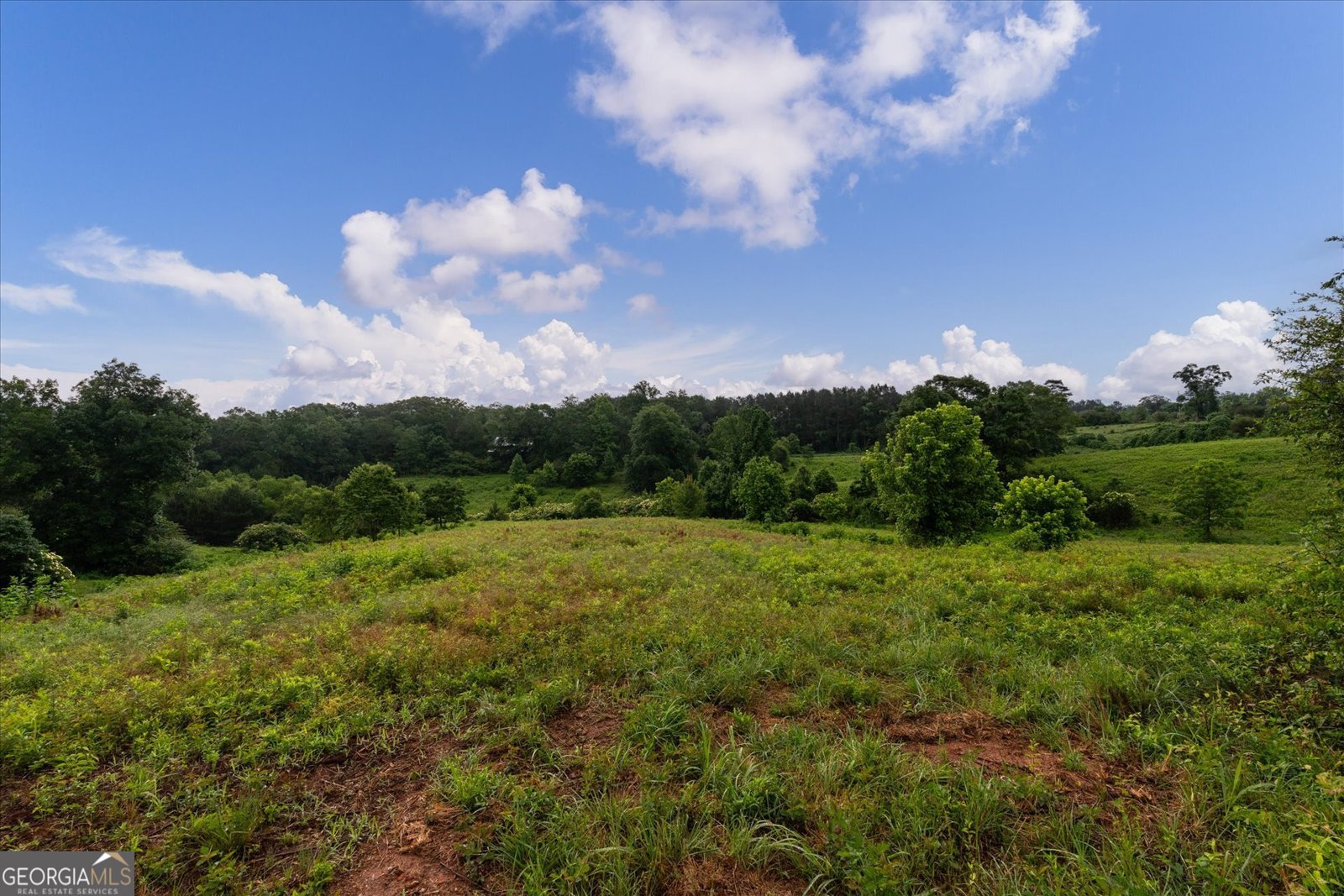1461 County Road 499 Woodland - Photo 40