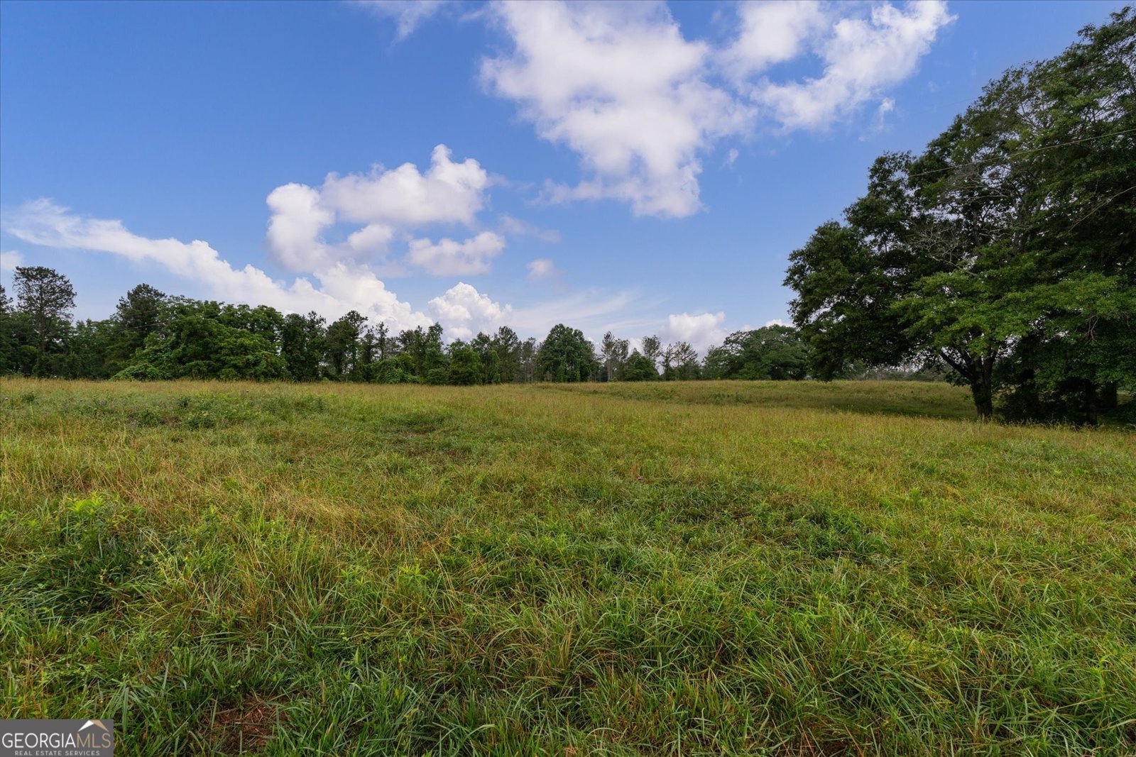 1461 County Road 499 Woodland - Photo 41