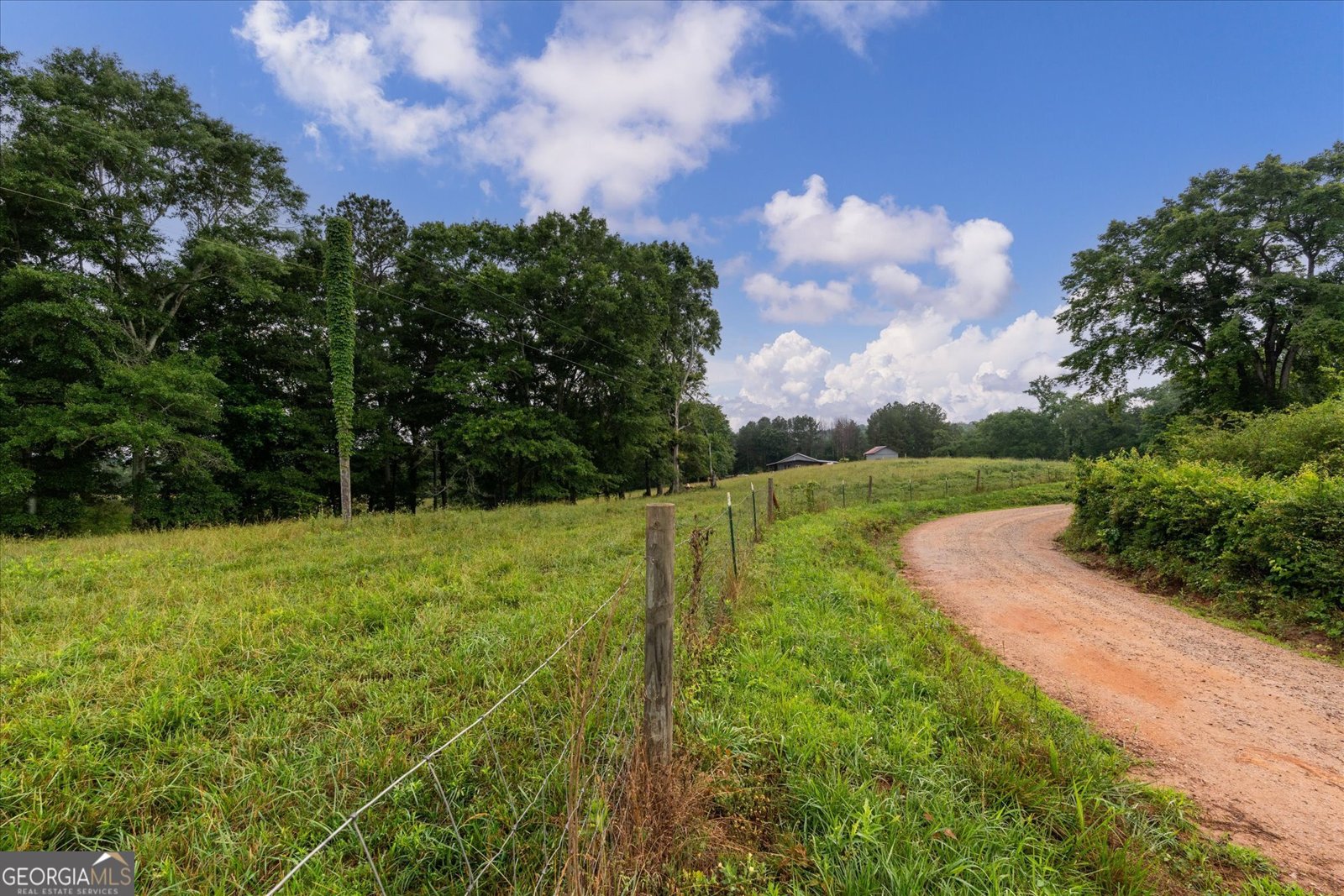 1461 County Road 499 Woodland - Photo 42