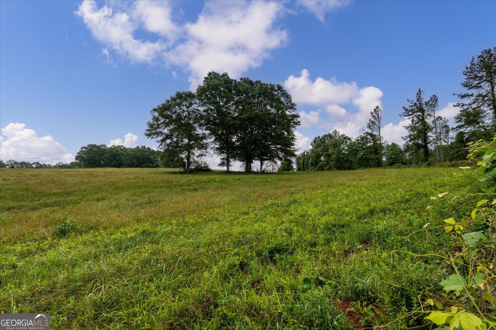 1461 County Road 499 Woodland - Photo 45