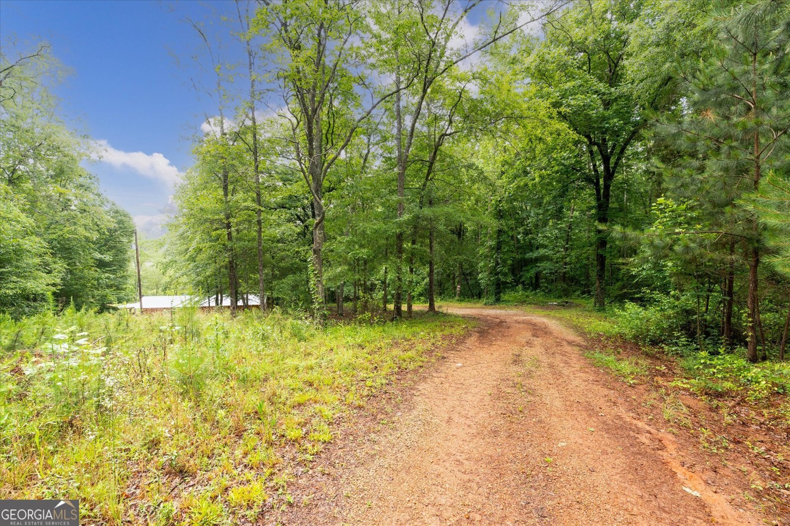 1461 County Road 499 Woodland - Photo 47