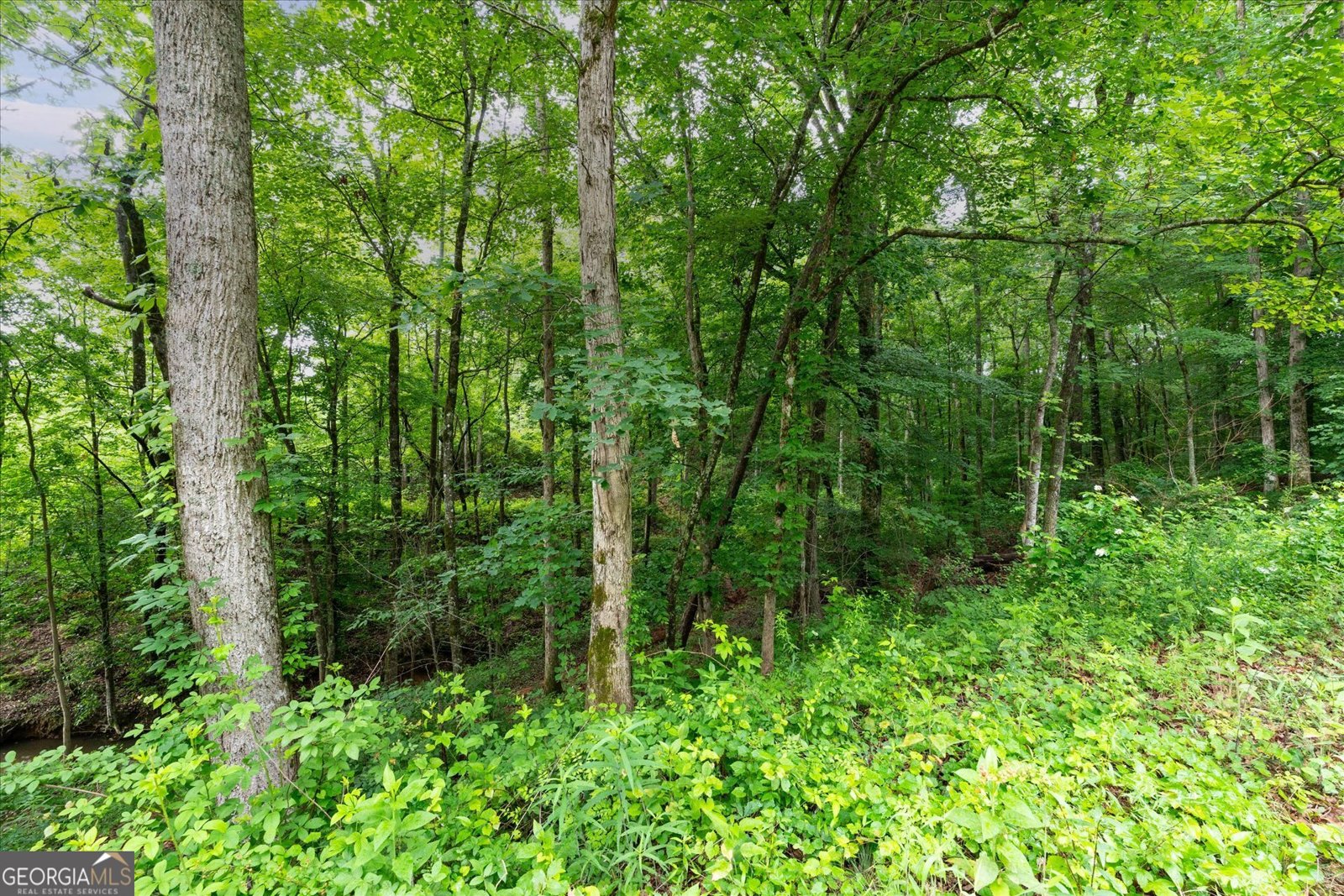 1461 County Road 499 Woodland - Photo 49