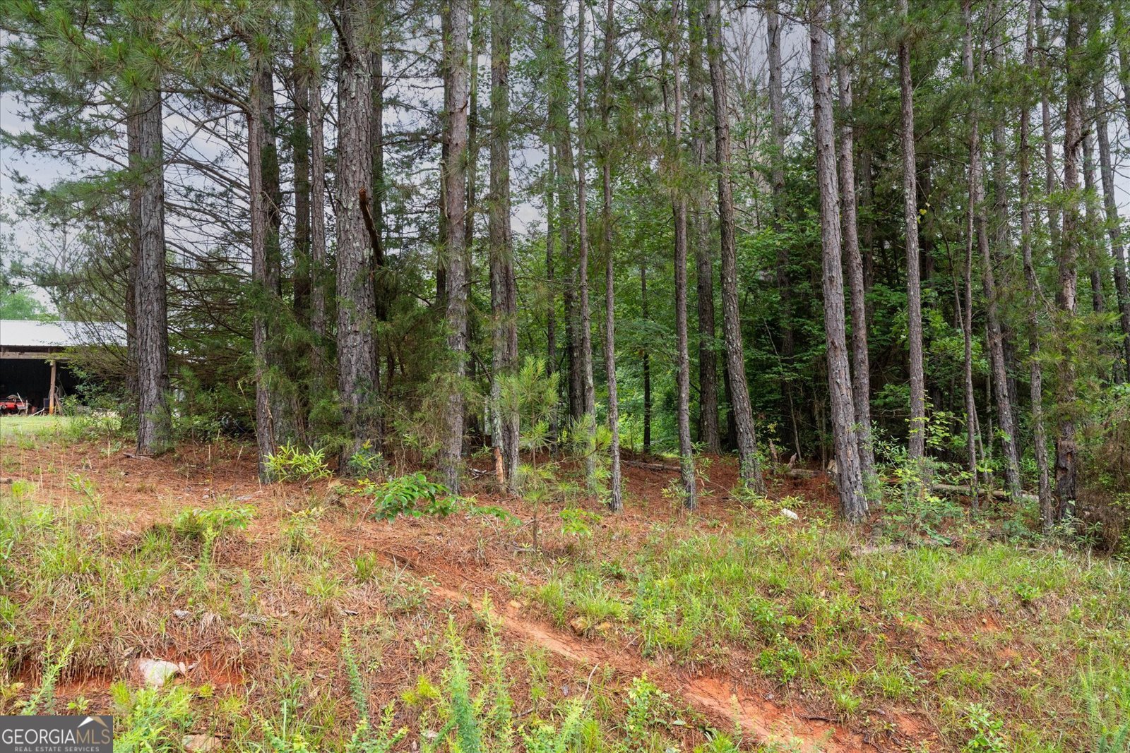 1461 County Road 499 Woodland - Photo 50
