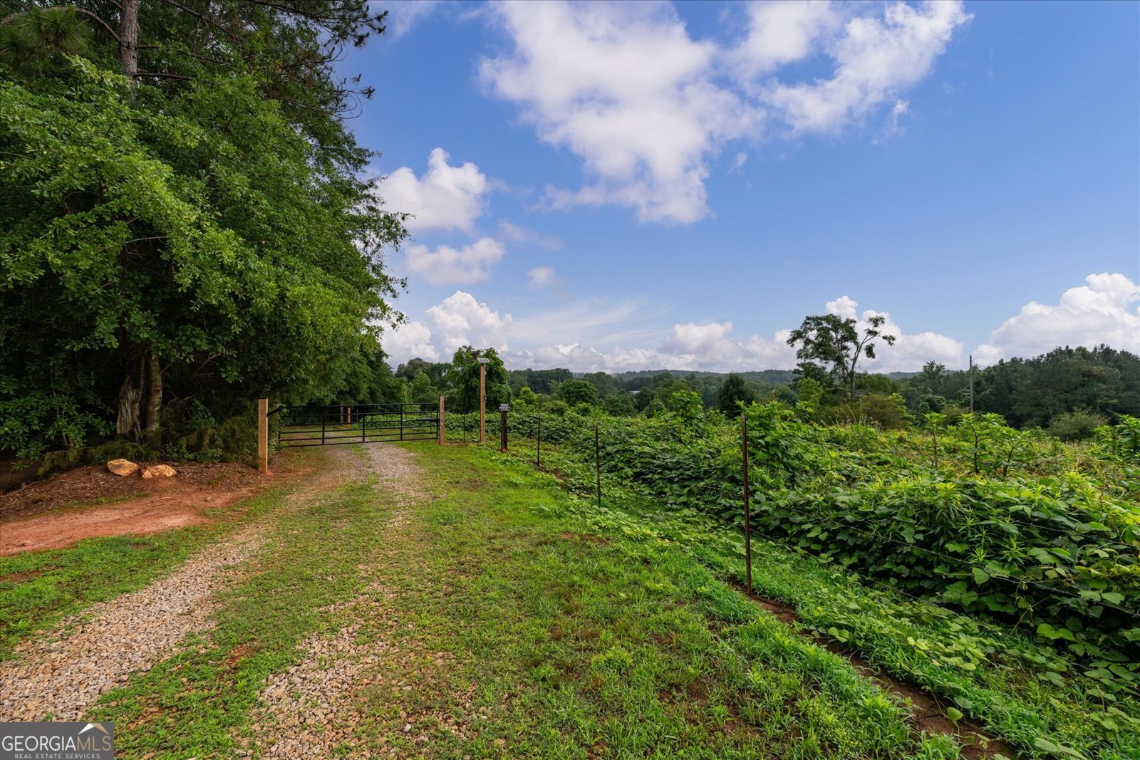 1461 County Road 499 Woodland - Photo 53