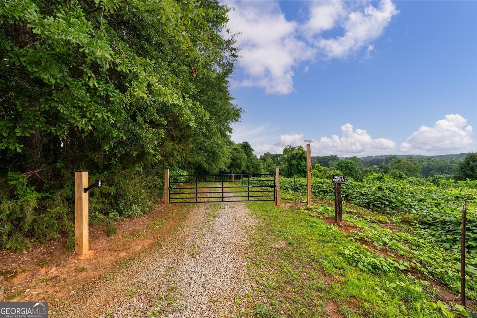 1461 County Road 499 Woodland - Photo 54