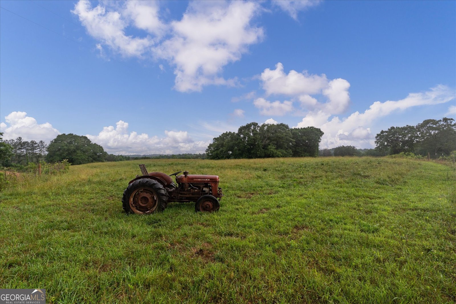 1461 County Road 499 Woodland - Photo 6