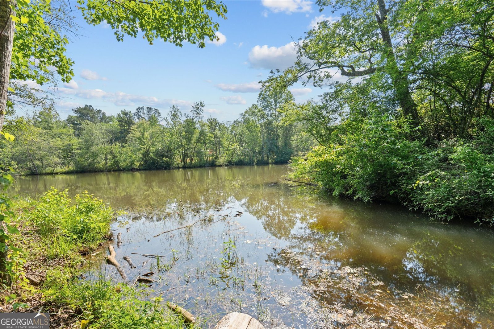 1461 County Road 499 Woodland - Photo 7