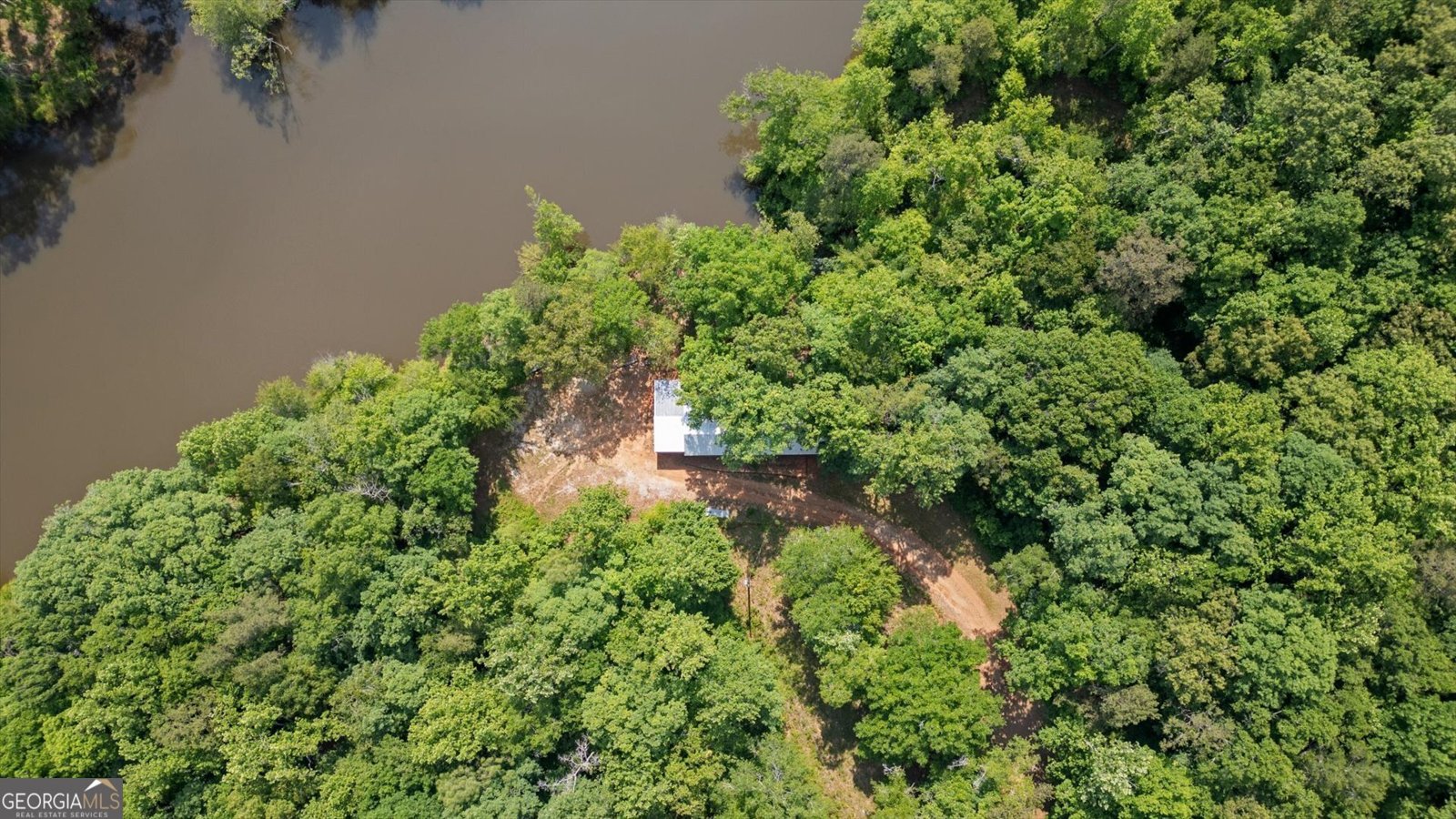 1461 County Road 499 Woodland - Photo 8