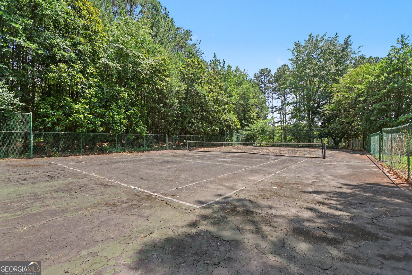 390 Virginia Hills Rd Royston - Photo 61