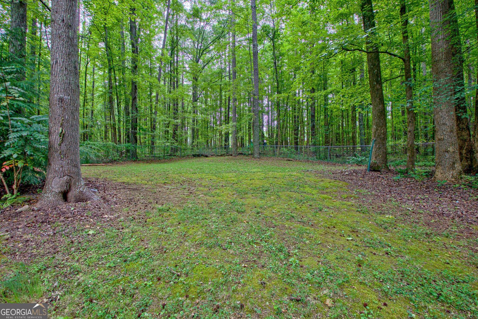 18 Glen Cannon Tr Newnan - Photo 30