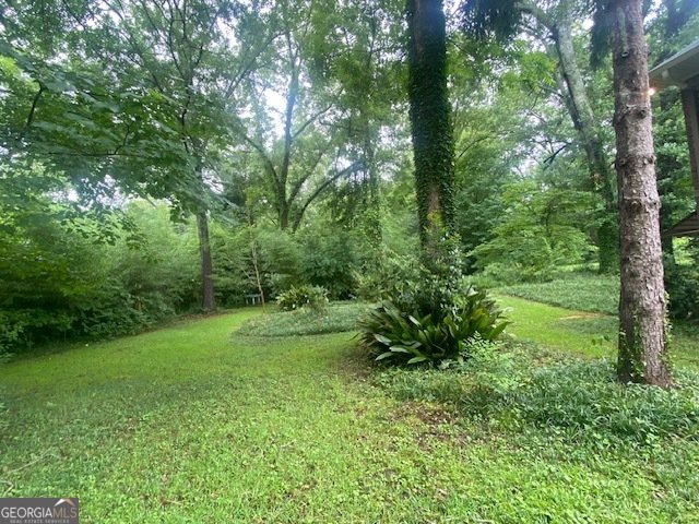 314 Neal Street West Point - Photo 35
