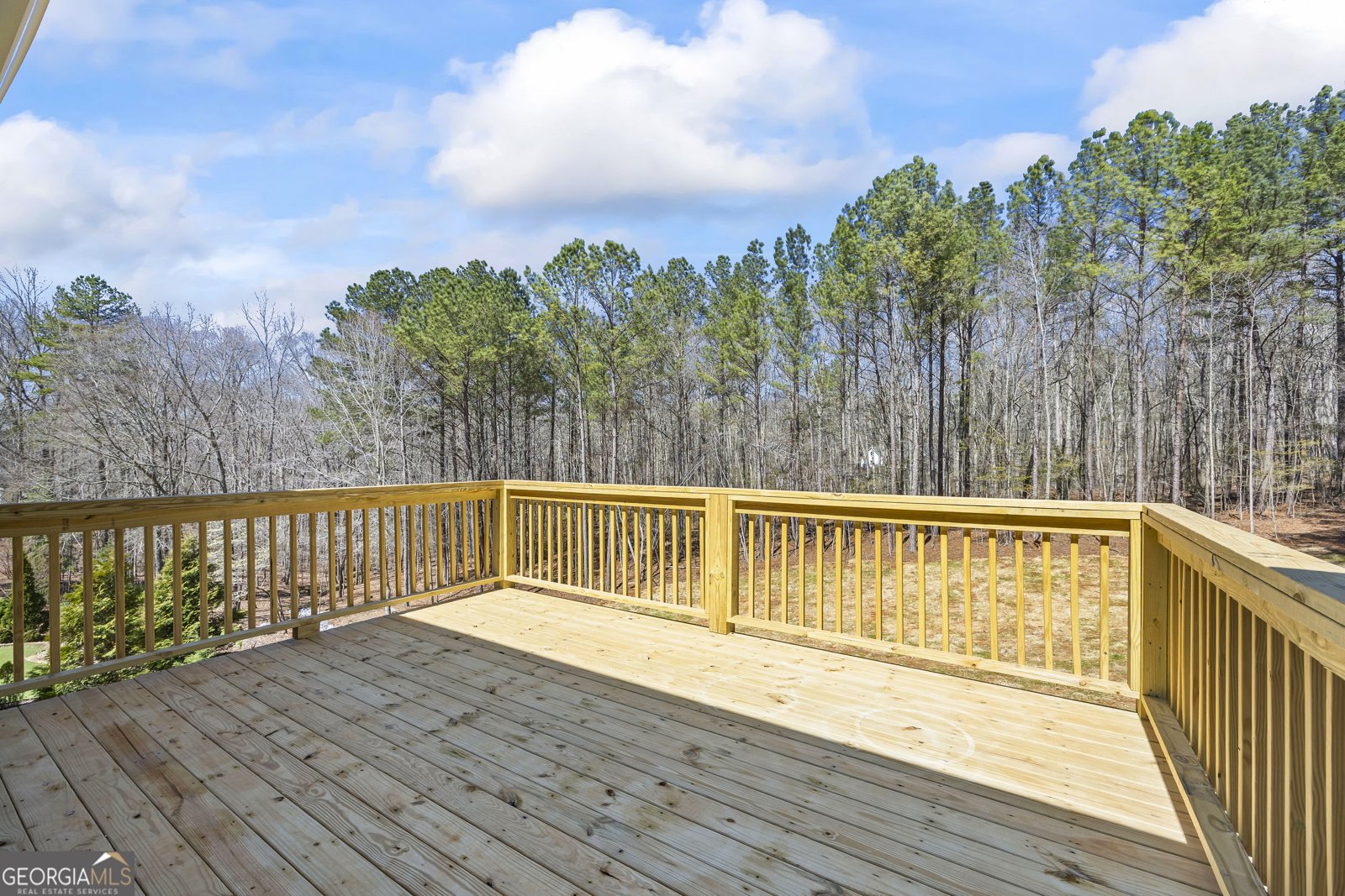1229 Morgans Run Monroe - Photo 43