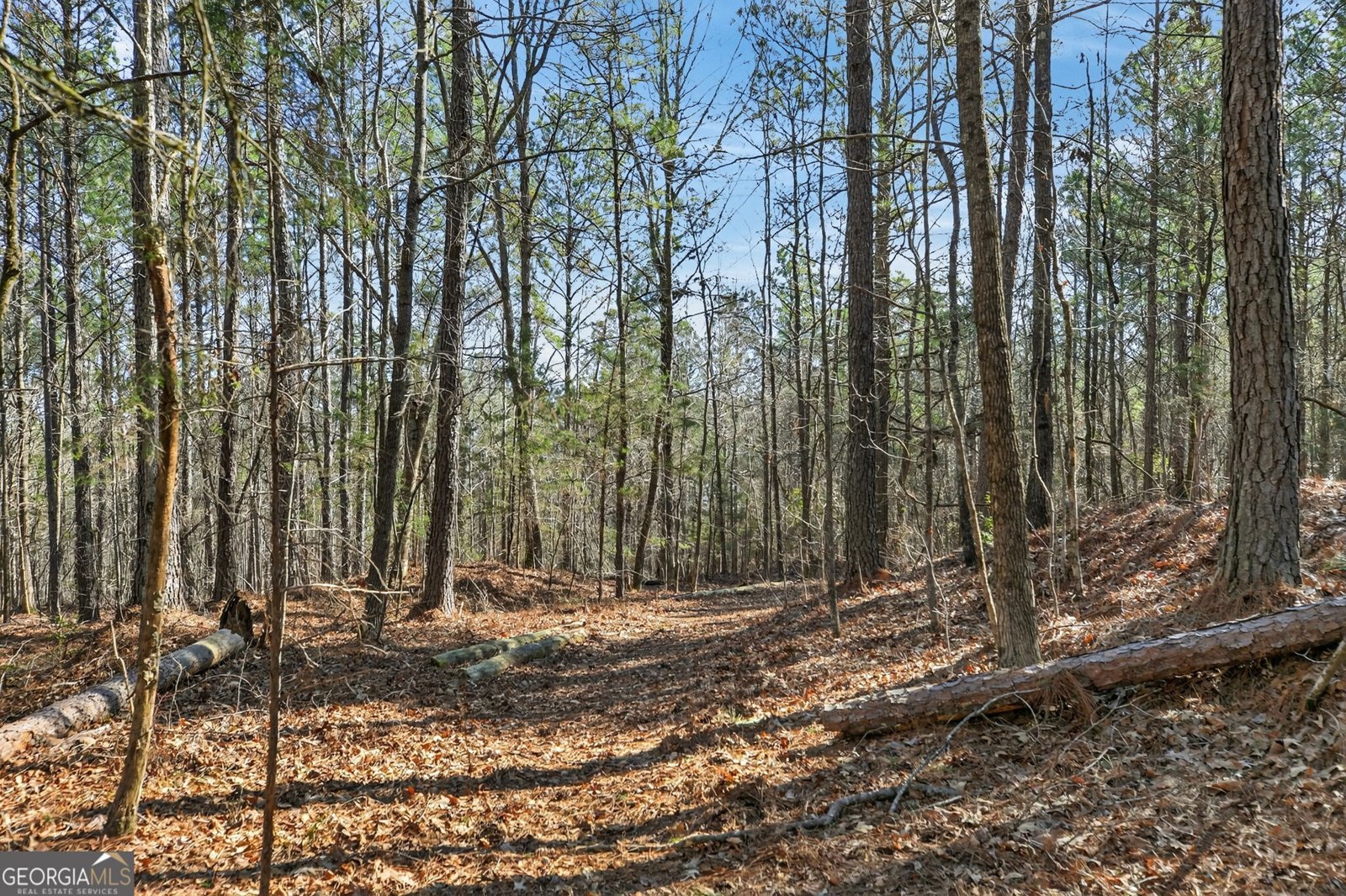 5010 US Highway 27 Franklin - Photo 27