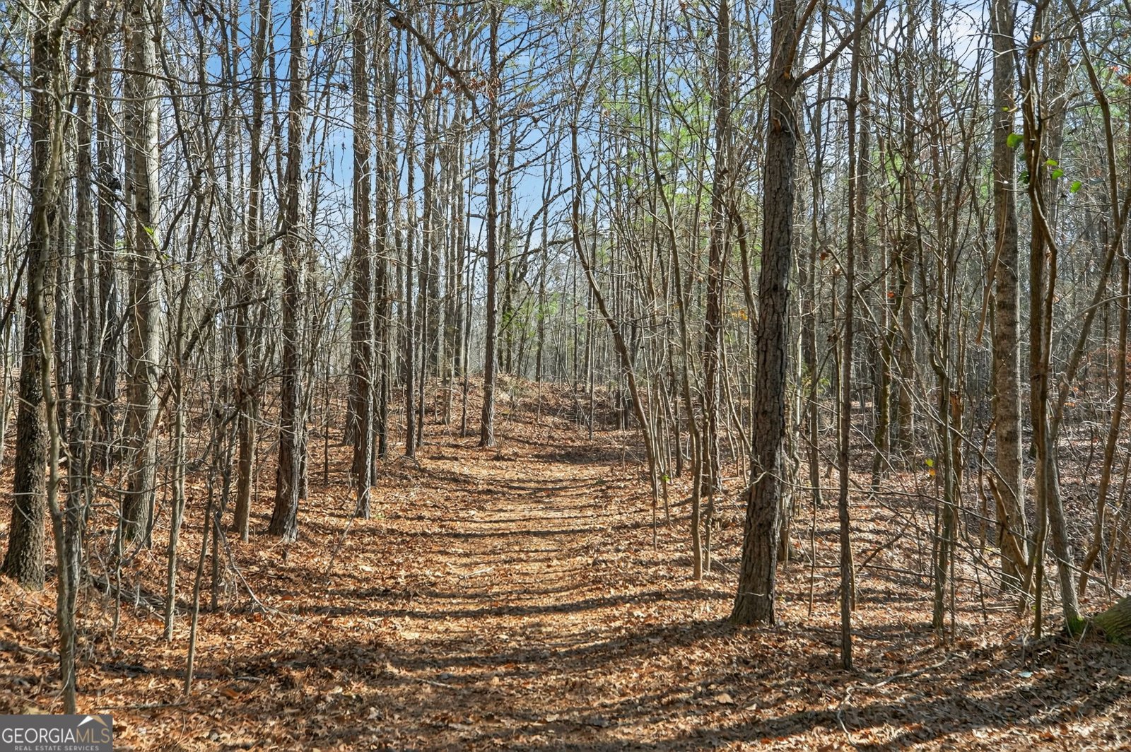 5010 US Highway 27 Franklin - Photo 29