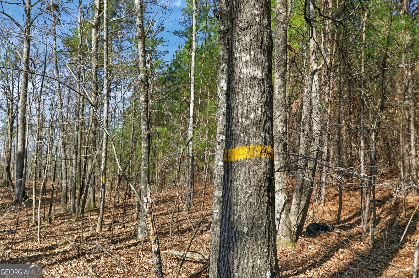 5010 US Highway 27 Franklin - Photo 30